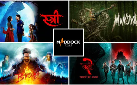 Content is King: How Dinesh Vijan’s Maddock Films Ruled 2024 with Rs 1,300 Crores in Box Office Success