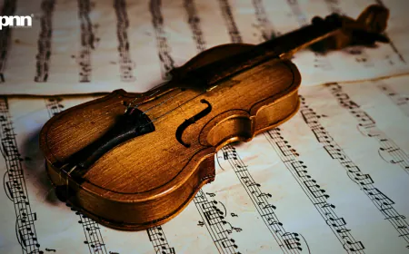 The Sound You Can Hold: Why Physical Music Refuses to Stay Dead